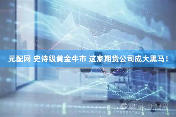 元配网 史诗级黄金牛市 这家期货公司成大黑马！