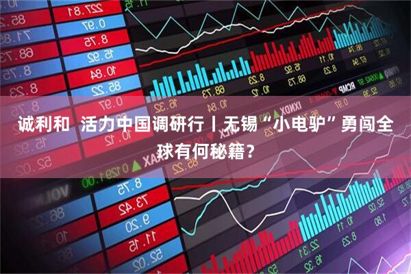 诚利和  活力中国调研行丨无锡“小电驴”勇闯全球有何秘籍？