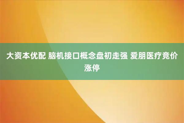 大资本优配 脑机接口概念盘初走强 爱朋医疗竞价涨停