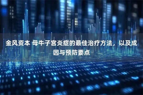 金风资本 母牛子宫炎症的最佳治疗方法，以及成因与预防要点