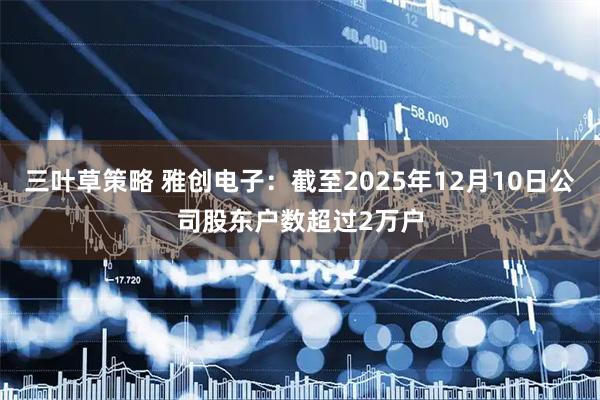 三叶草策略 雅创电子：截至2025年12月10日公司股东户数超过2万户